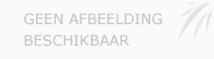 Afbeelding › Taxi Direct Roermond