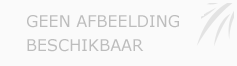 Afbeelding › De Haagse Rolstoeltaxi